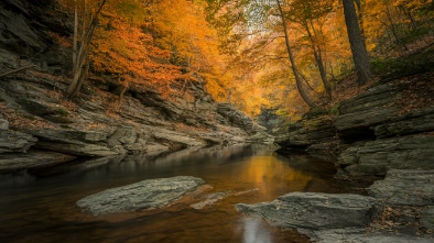 hemlock gorge reservation