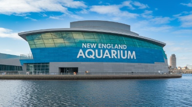new england aquarium