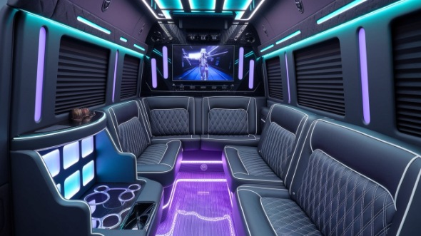 somerville sprinter limo rental inside